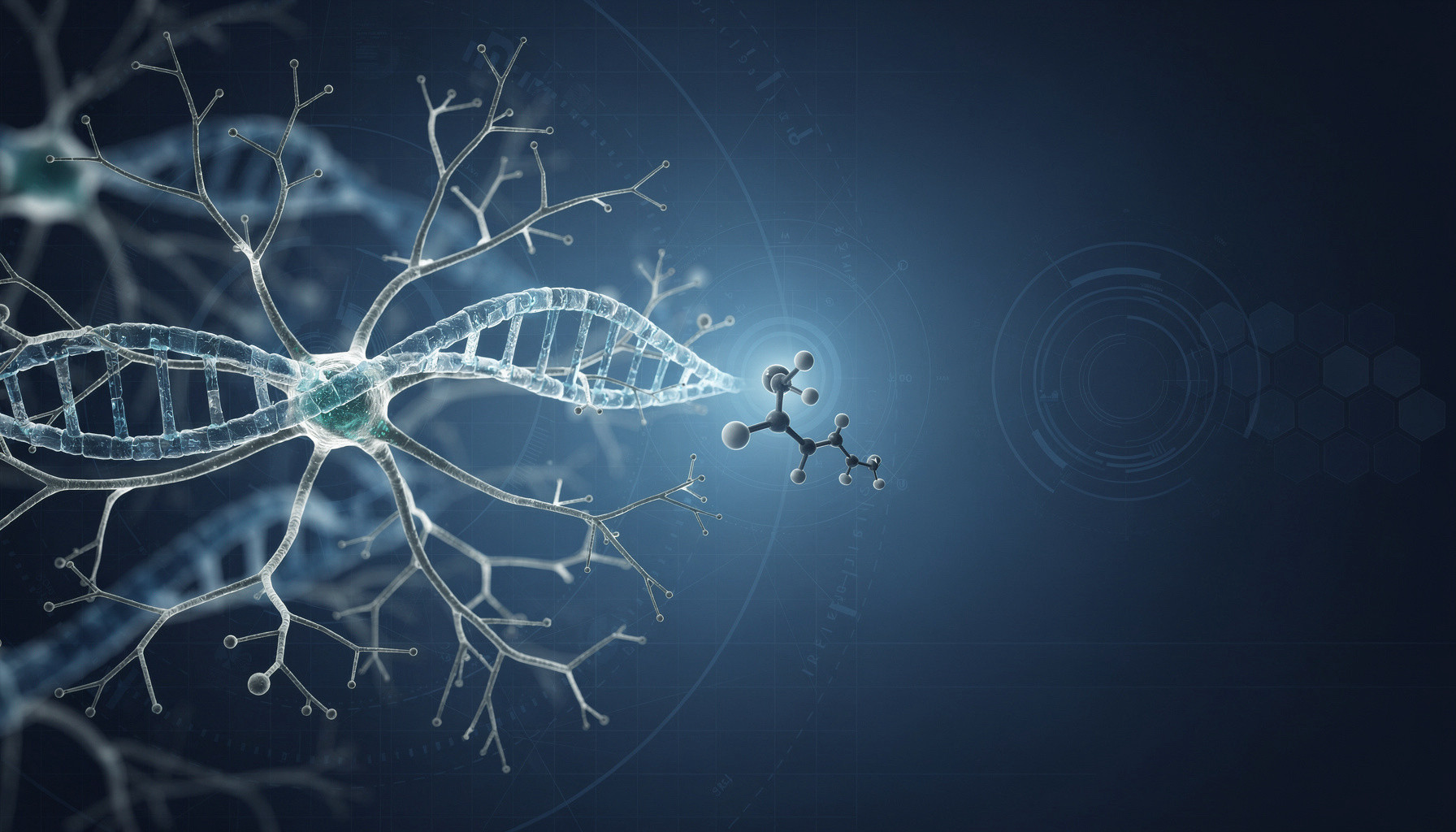 The Brain Health Company website preview